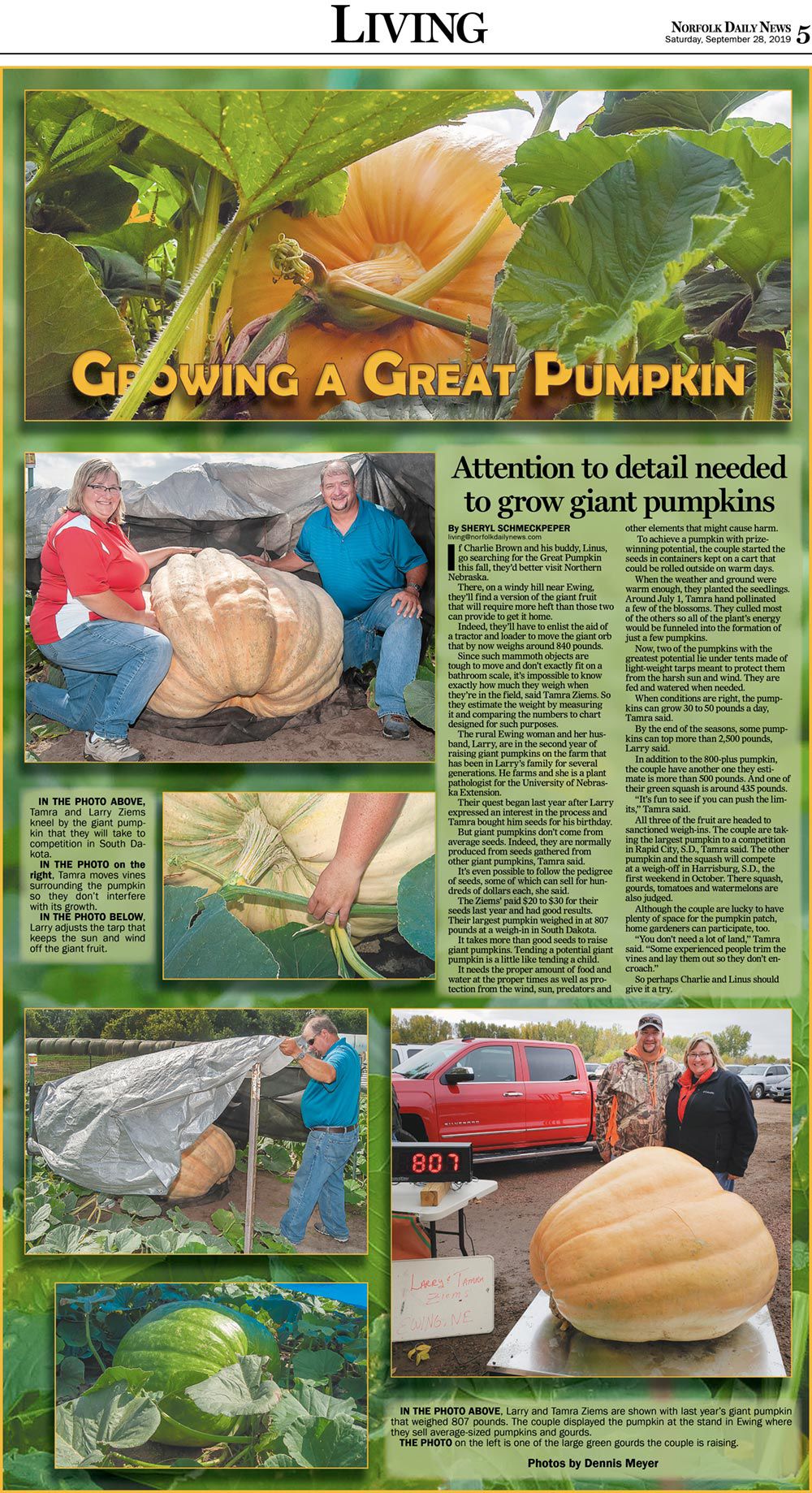 Growing a great pumpkin
